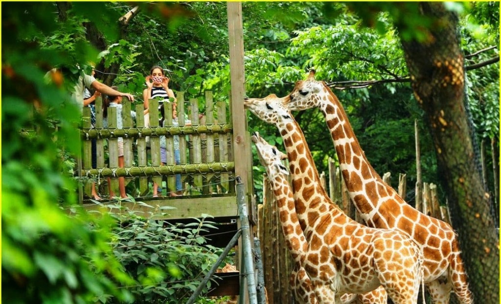  Zoológico do Bronx em Nova York