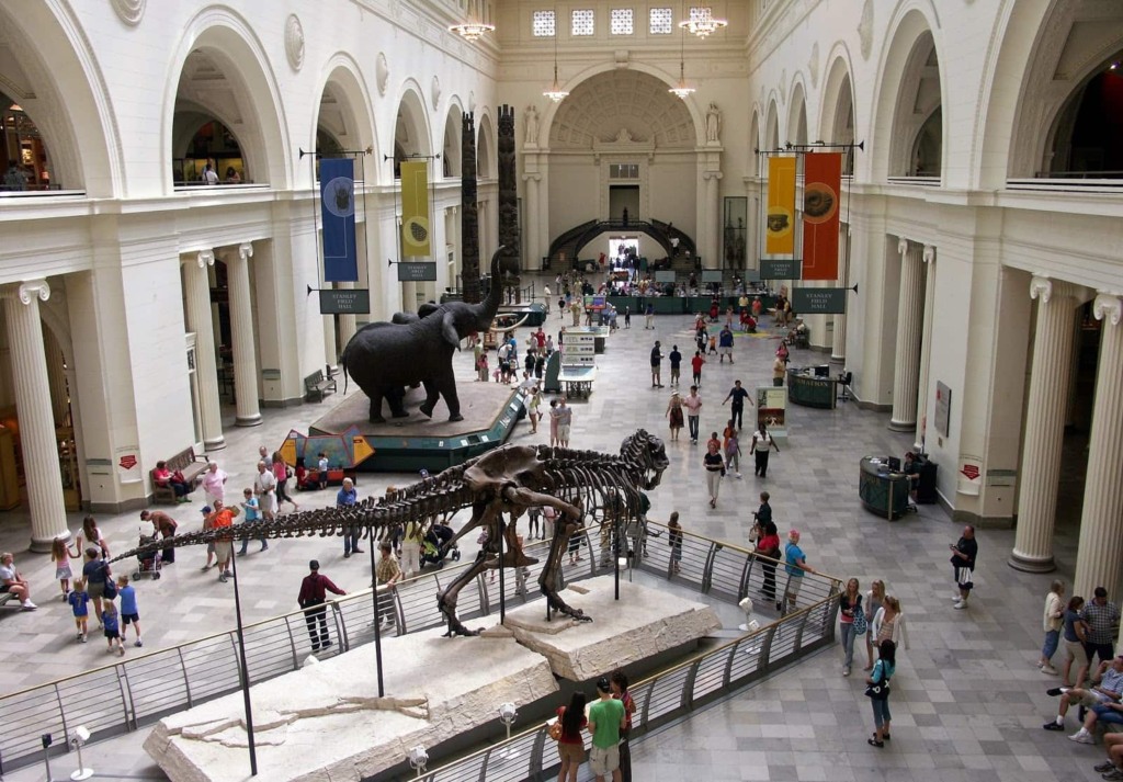 Atrações e acervo do Field Museum