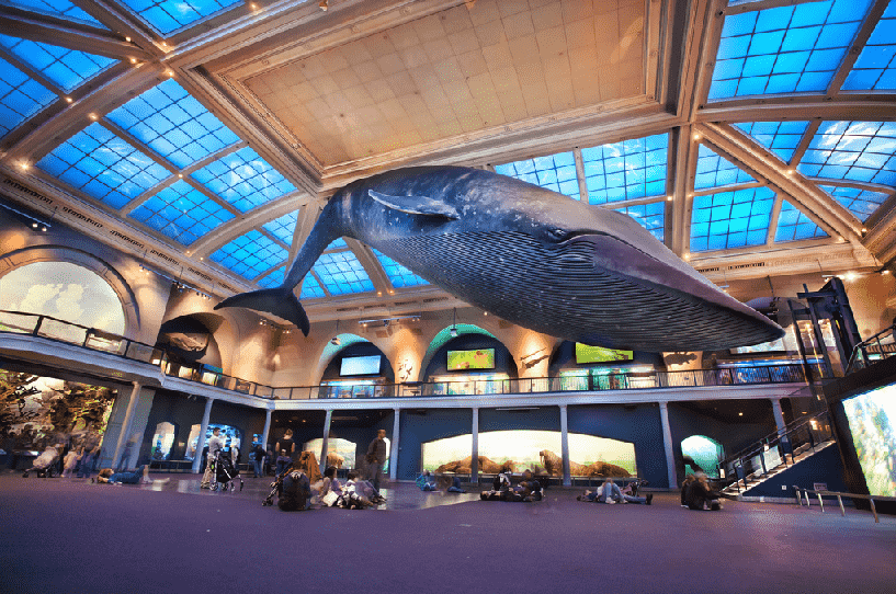 Museu da História Natural no Inverno