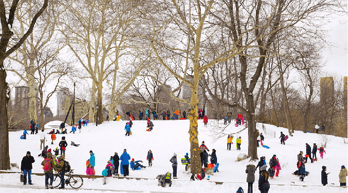 Central Park Nova York no Natal