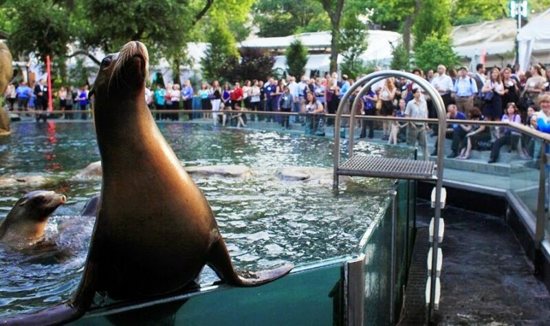 Zoológico do Central Park em Nova York