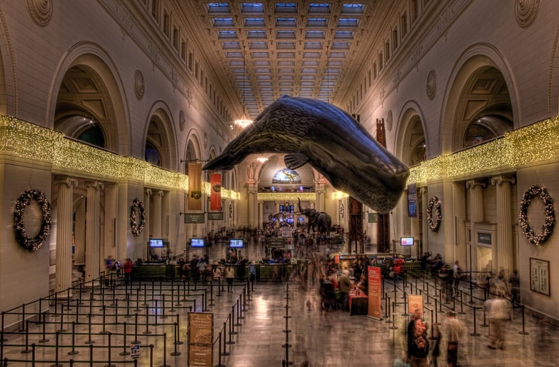 Field Museum em Chicago