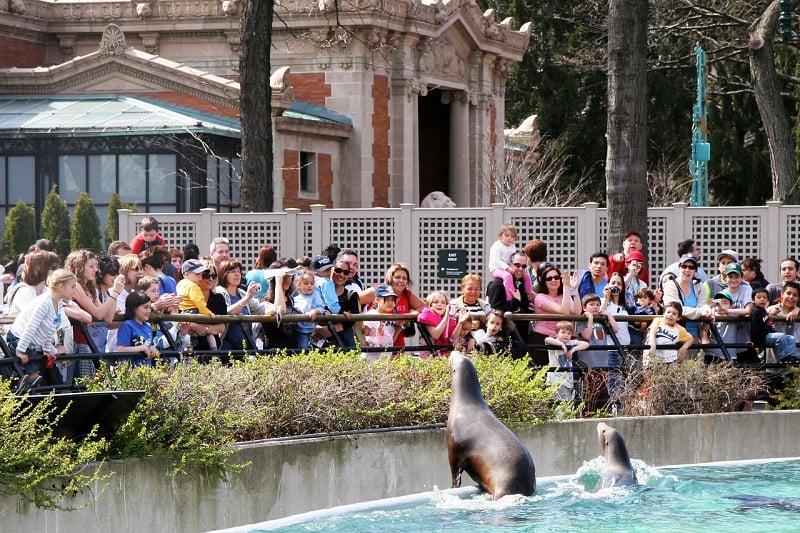 Conhecer o Bronx Zoo 