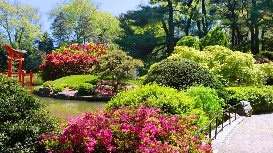 Jardim botânico do Brooklyn em Nova York