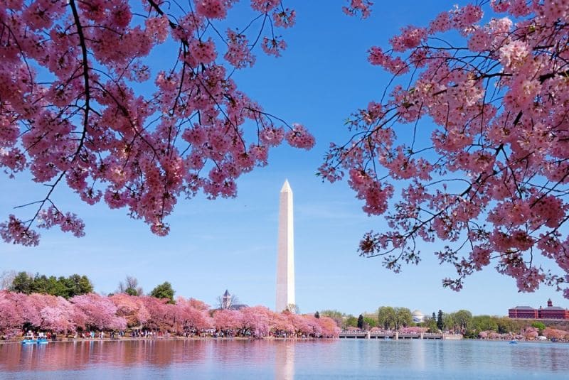 Clima e temperatura em Washington