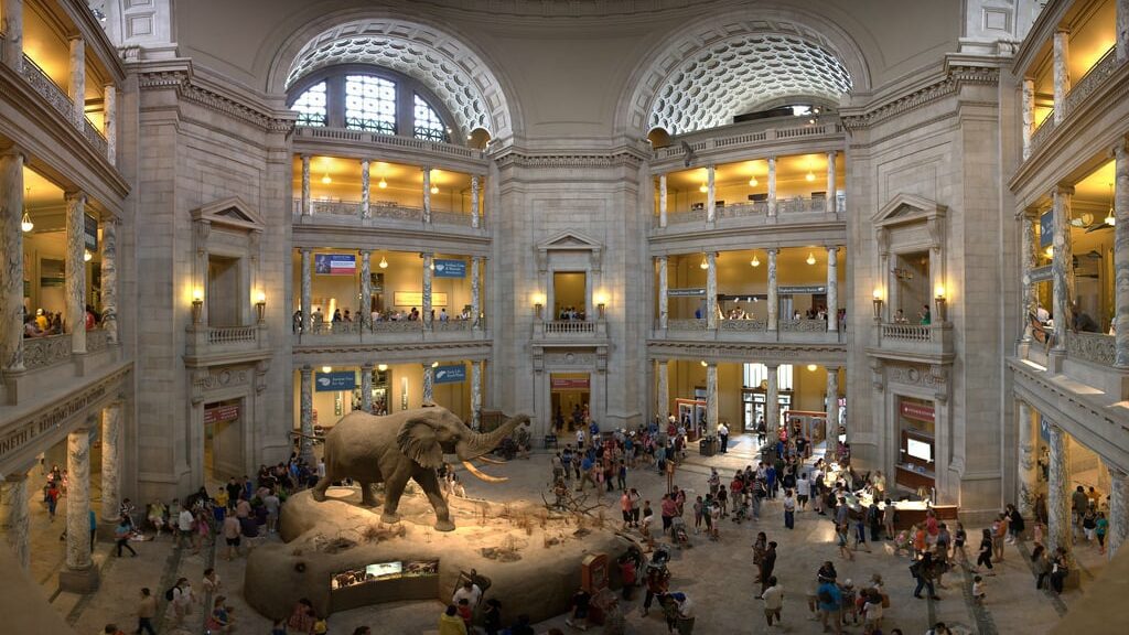 Museu de História Natural de Nova York