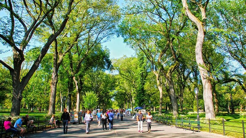 Curiosidades sobre o Central Park em Nova York