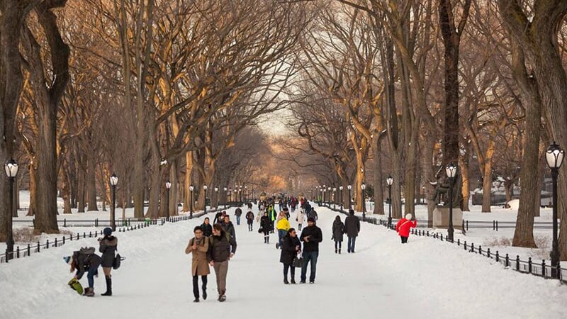 O que fazer com neve em Nova York