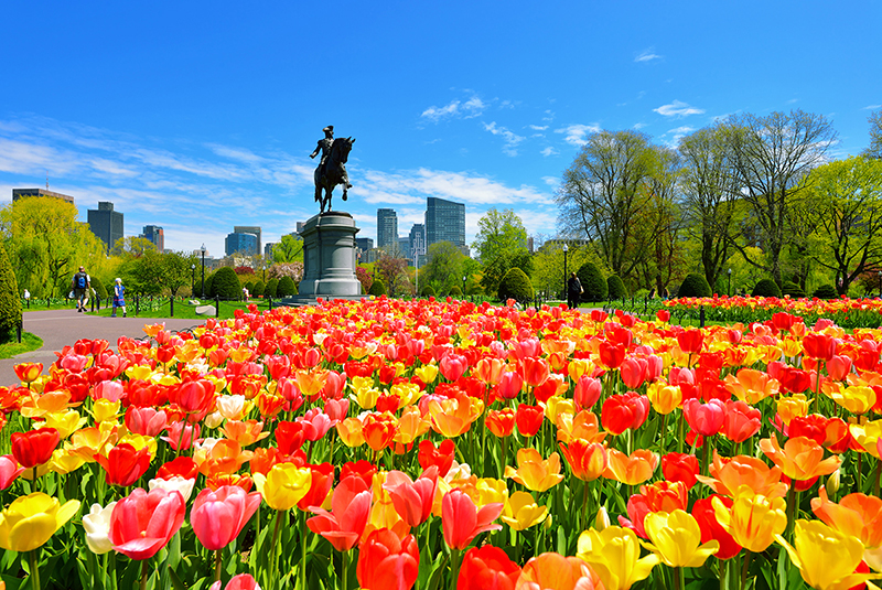 Boston Public Garden