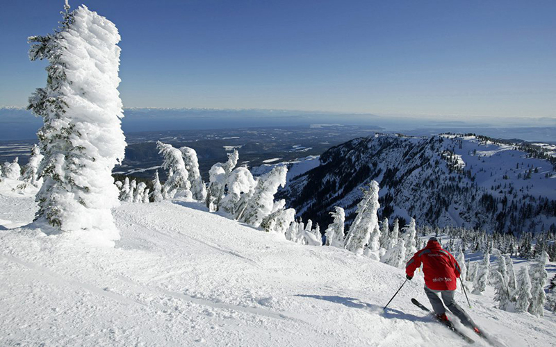 O que fazer com neve em Washington