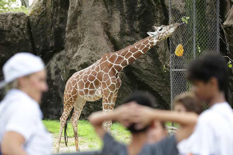 Zoológico da Filadélfia