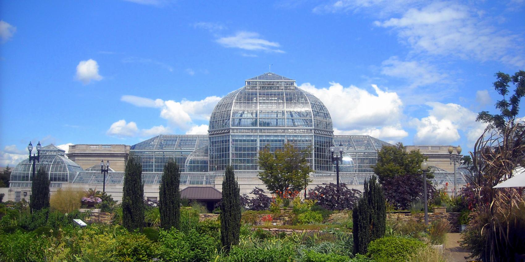 Visite o Jardim Botânico