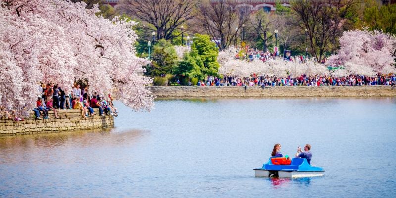 Passeio de pedalinho na enseada Tidal Basin em Washington