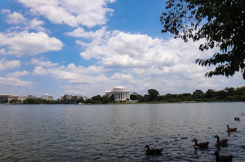 Enseada Tidal Basin em Washington