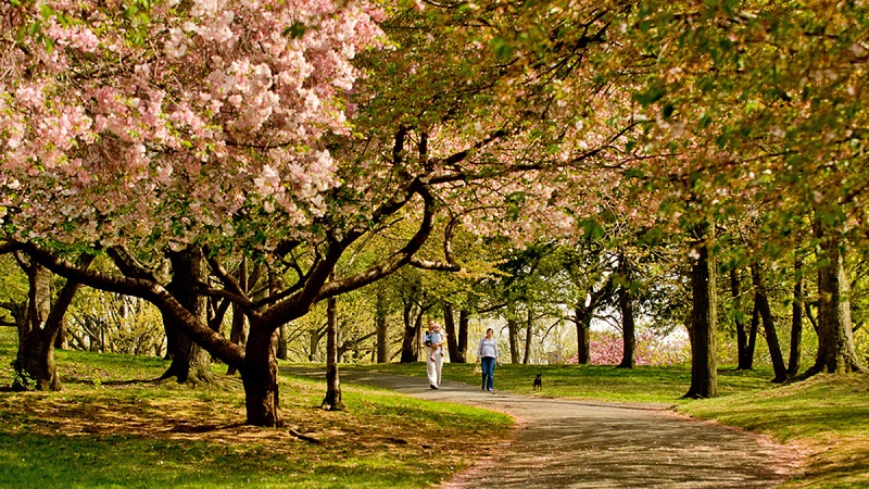 Branch Brook Park na cidade de Newark em Nova Jersey