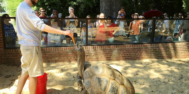 Pessoas no zoológico National Zoo em Washington