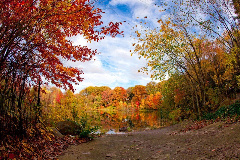 Prospect Park em Nova York no outono