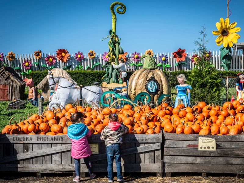 Decoração de Halloween na Filadélfia