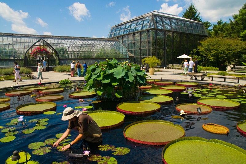 Longwood Gardens na Filadélfia