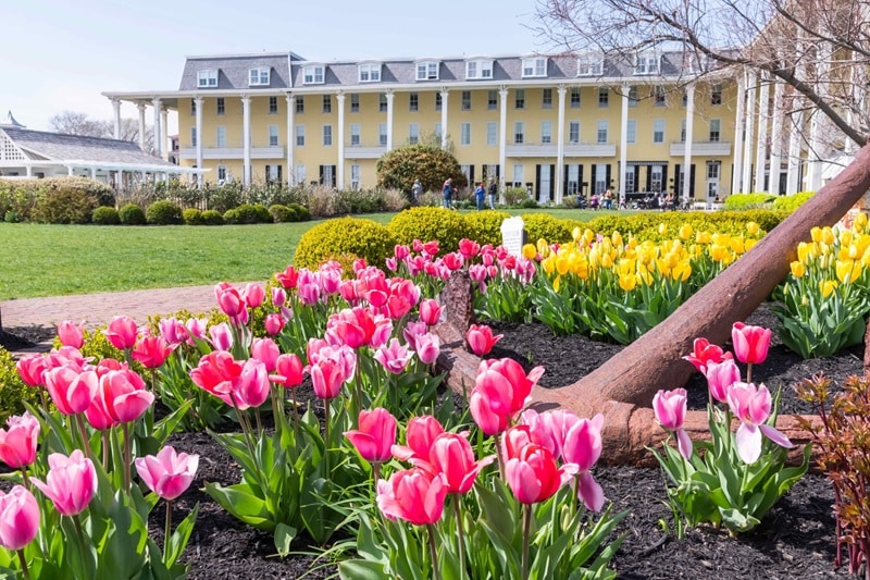 Flores de primavera na cidade de Cape May em Nova Jersey